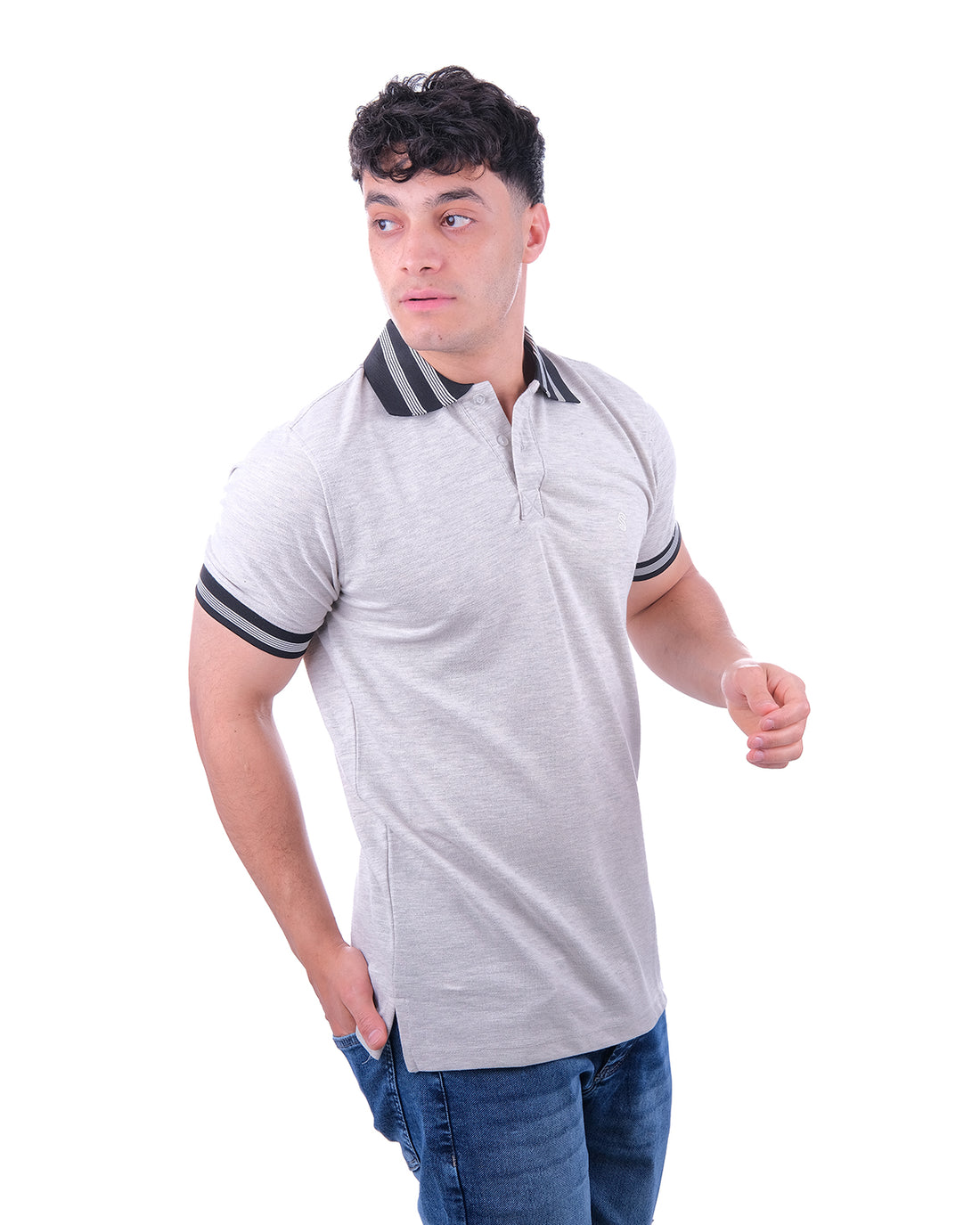 Silver Polo Black Collar